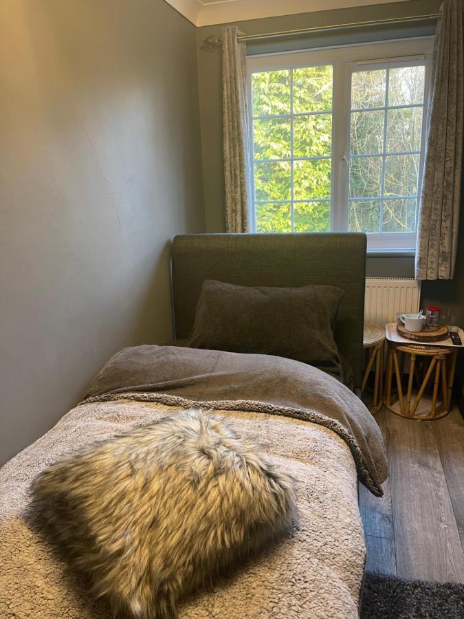 Da Vinci Guest House & Guest Parking, A Real Gem كرولي المظهر الخارجي الصورة