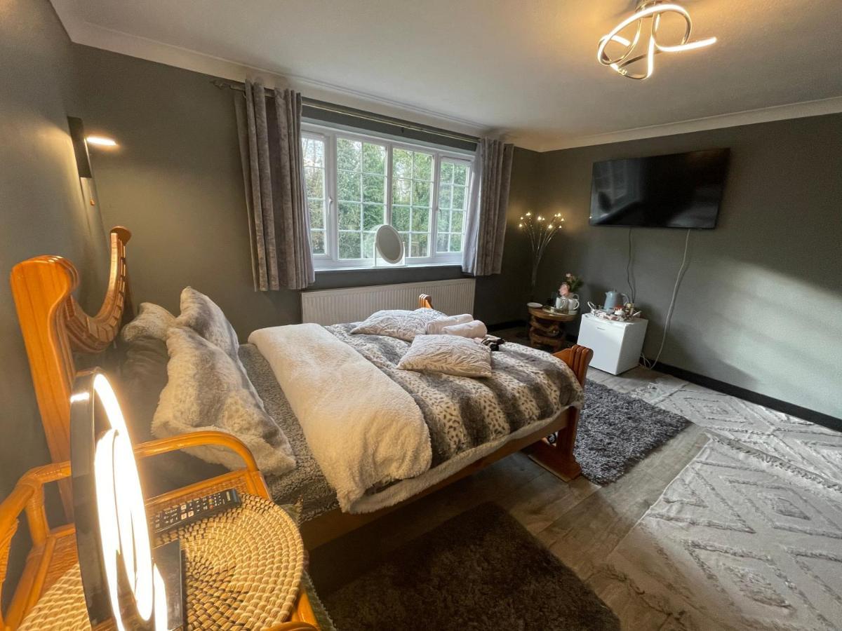 Da Vinci Guest House & Guest Parking, A Real Gem كرولي المظهر الخارجي الصورة